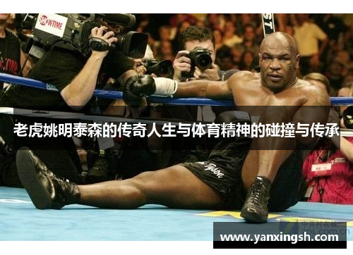 老虎姚明泰森的传奇人生与体育精神的碰撞与传承