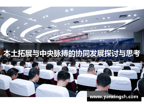本土拓展与中央脉搏的协同发展探讨与思考